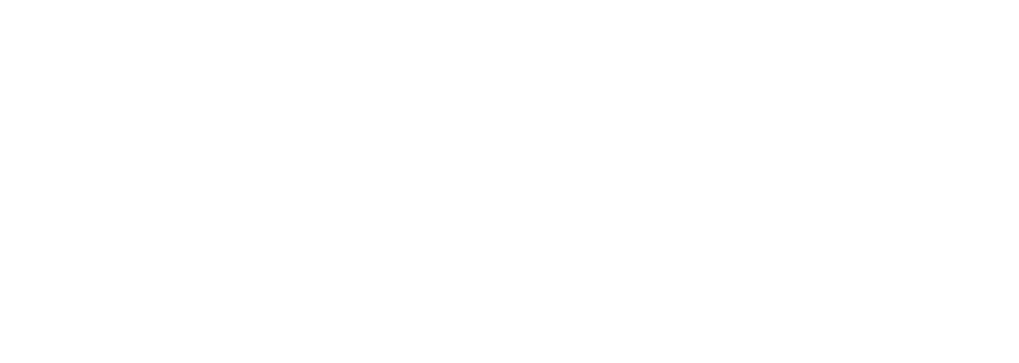 Nice_Logo_1