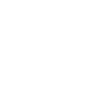 ZIM logo